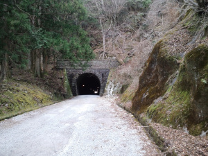 旧天城トンネル南側：CASIO G'zOne TYPE-X、4.60mm、F2.8、1/24sec、感度不明、レンズ表面に保護シールあり