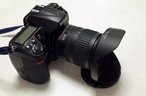 AF-S DX NIKKOR 10-24mm f/3.5-4.5G ED 購入(その1): 
