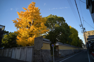 【写真1】蓬莱山 徳源寺(名古屋市東区):Nikon Z6、Voigtlander COLOR-SKOPAR 21mm F4 P、F8、絞り優先AE、1/40秒、ISO-AUTO(ISO 160)、AWB(4600K)、マルチパターン測光、 マニュアルフォーカス(MF)、手ぶれ補正ON(ノーマル)、高感度ノイズ低減:標準、ピクチャーコントロール:「ポートレート」、手持ち撮影、Rayqual LM-NZマウントアダプター、Kenko PRO1D plus プロテクター(W)フィルター、専用フード、NEF(RAW)ファイルをNX Studio 1.8.0で現像:アクティブDライティング標準、露出補正-1.4EV、その後リサイズ 【写真1】蓬莱山 徳源寺(名古屋市東区):Nikon Z6、Voigtlander COLOR-SKOPAR 21mm F4 P、F8、絞り優先AE、1/40秒、ISO-AUTO(ISO 160)、AWB(4600K)、マルチパターン測光、 マニュアルフォーカス(MF)、手ぶれ補正ON(ノーマル)、高感度ノイズ低減:標準、ピクチャーコントロール:「ポートレート」、手持ち撮影、Rayqual LM-NZマウントアダプター、Kenko PRO1D plus プロテクター(W)フィルター、専用フード、NEF(RAW)ファイルをNX Studio 1.8.0で現像:アクティブDライティング標準、露出補正-1.4EV、その後リサイズ