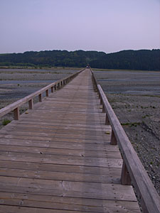 蓬莱橋（静岡県島田市）：GR DIGITAL、28mm相当、1/440sec、F7.1、ISO64、-0.3EV、プログラムAE