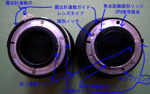 左：NIKKOR-S・C Auto 50mm F1.4 (Ai改)、右：Ai AF Nikkor 50mm F1.4D