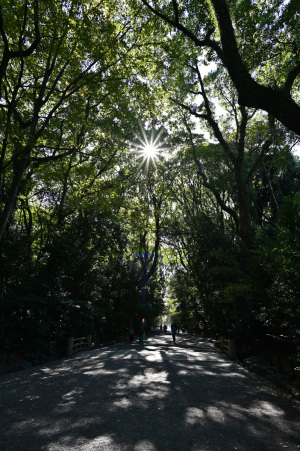 【写真4】熱田神宮参道：Nikon Z6、AF-S NIKKOR 20mm f/1.8G ED、F8 絞り優先AE、1/30秒、ISO-AUTO(ISO 100)、AWB（5300K）、マルチパターン測光、 オートエリアAF、手ぶれ補正ON（ノーマル）、高感度ノイズ低減：標準、自動ゆがみ補正、手持ち撮影、マウントアダプターFTZ、バヨネットフード HB-72、ニコンNCフィルター、RAW(NEF)ファイルをNX Studio 1.7.0で現像、最新のピクチャーコントロール「風景」、露出補正なし、アクティブDライティング「標準」