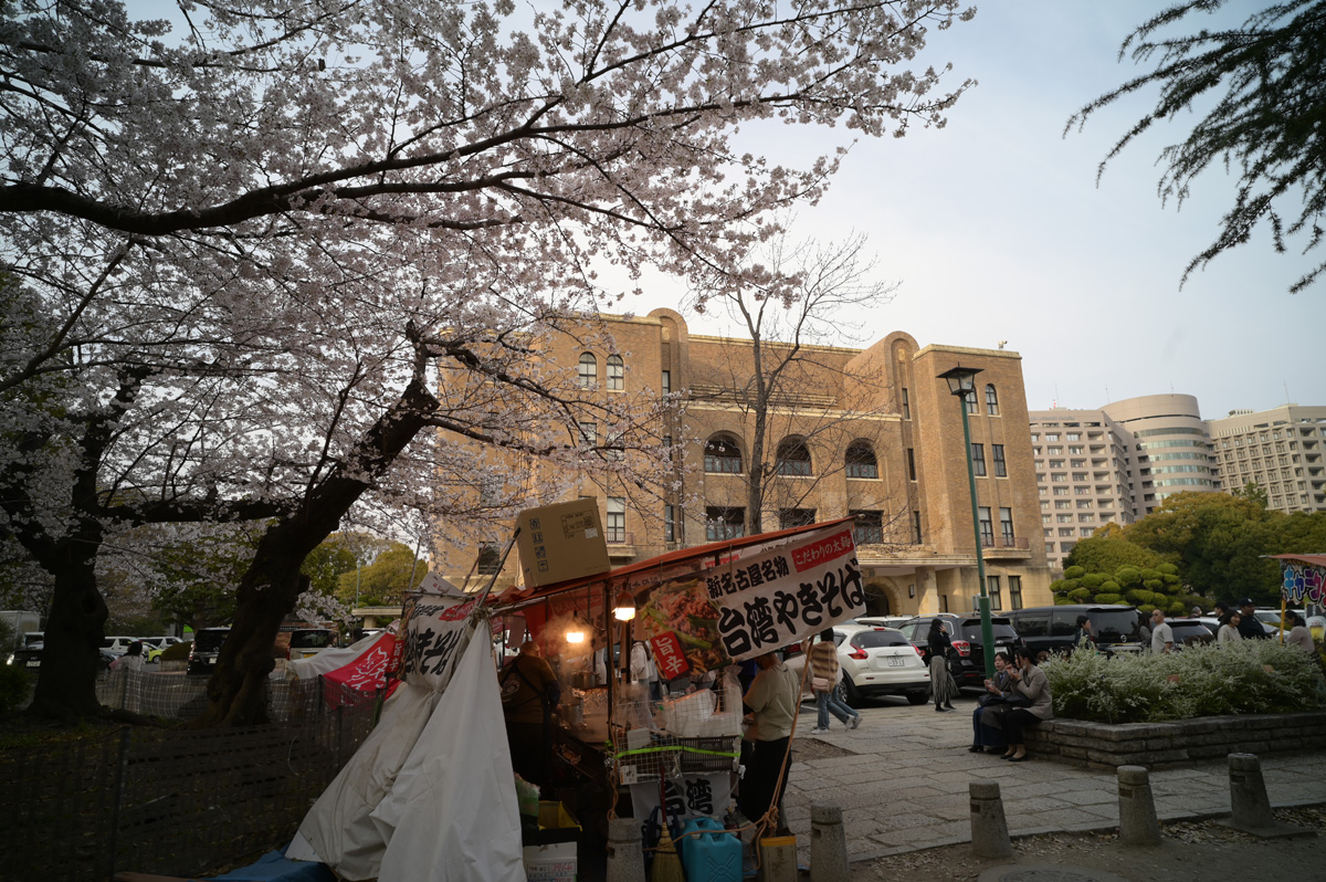 【写真3】鶴舞公園の桜（名古屋市昭和区）：Nikon Z6、Voigtlander COLOR-SKOPAR 21mm F4 P、F5.6、絞り優先AE、1/80秒、ISO-AUTO(ISO 100)、AWB、マルチパターン測光、 マニュアルフォーカス（MF）、手ぶれ補正ON（ノーマル）、高感度ノイズ低減：標準、ピクチャーコントロール：ポートレート、手持ち撮影、Rayqual LM-NZマウントアダプター、Kenko PRO1D plus プロテクター(W)フィルター、専用フード